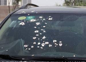 汽车除污费用多少 汽车除污费用多少