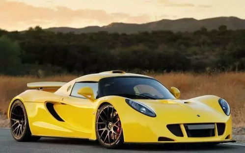 大汽车最贵多少万