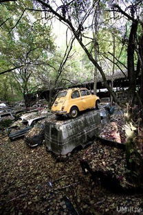 武汉有多少汽车坟场