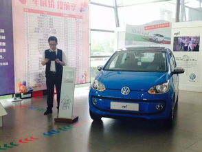 双星汽车多少钱