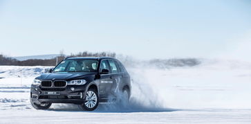 汽车整装比例多少合适 汽车整装比例多少合适