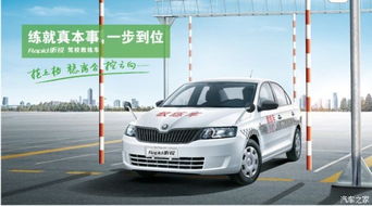 高坪区汽车有多少辆