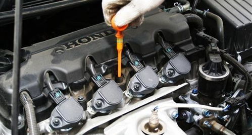 汽车活塞价格多少合适 汽车活塞价格多少合适