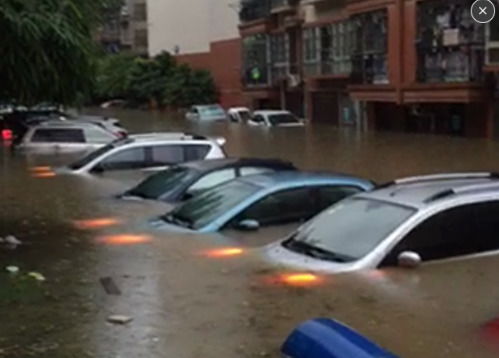 河南大雨淹了多少汽车