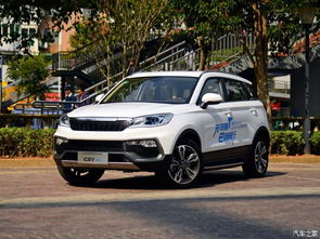 猎豹汽车9价格多少 猎豹汽车9价格多少