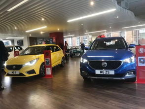 欧洲汽车有多少辆