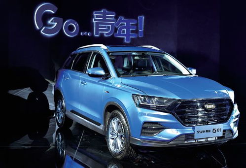 斯威汽车捐款多少