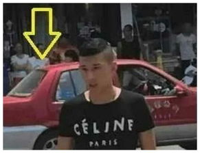 天佑有多少辆汽车