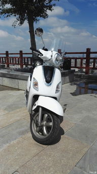 汽车换踏板多少工钱