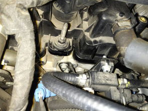 汽车打气会漏多少