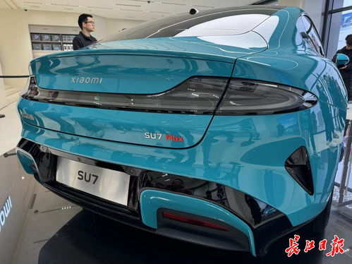 小米汽车顶了多少