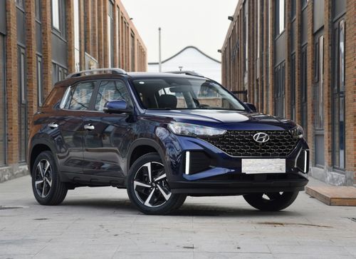 小牛汽车卖了多少台