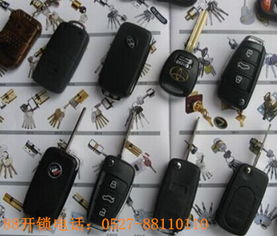 汽车落锁器价格多少