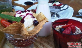 圣代汽车多少钱