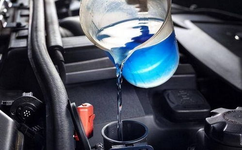 白酒汽车上能带多少