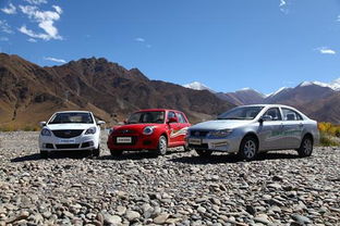 力帆汽车亏盈多少