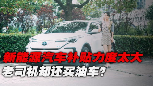 老司机汽车补贴多少