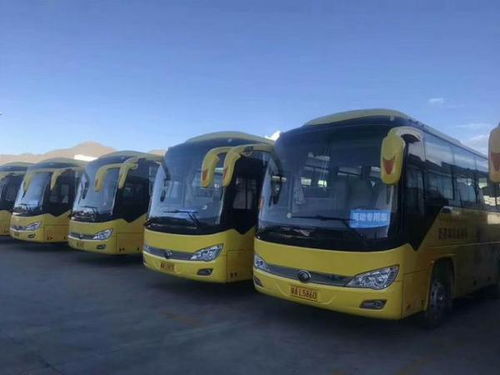 西藏汽车有多少座位