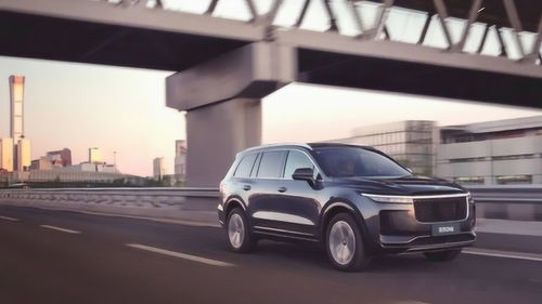 理想汽车债务融资多少