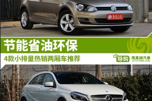 大同汽车有多少款式