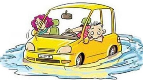 汽车报废险赔多少