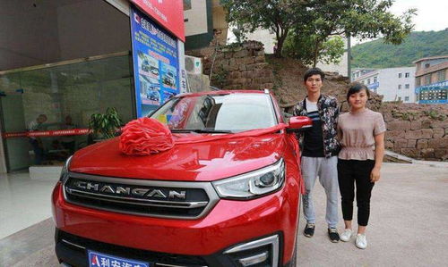 农村汽车有多少辆