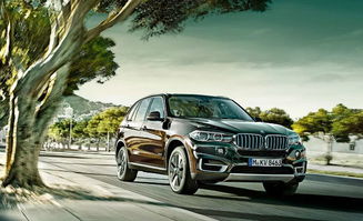 宝马汽车有多少品牌