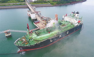 海南汽车渡船限高多少 海南汽车渡船限高多少