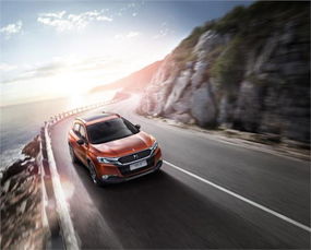 凉山ds汽车估价多少 凉山ds汽车估价多少