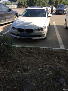 雅安宝马汽车估价多少