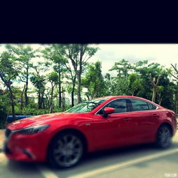 骚动汽车多少钱 骚动汽车多少钱