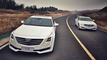 领跑汽车利润多少万