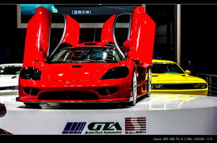 全国汽车女生有多少