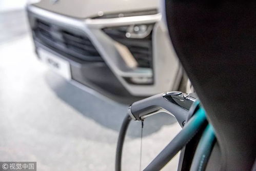 力盛汽车亏损多少