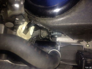 飞度汽车电压是多少