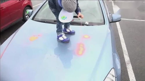 李维嘉买了汽车多少辆车 李维嘉买了汽车多少辆车