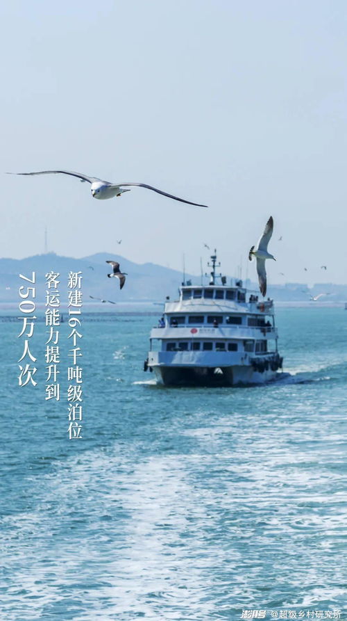 长岛渡轮汽车收费多少 长岛渡轮汽车收费多少