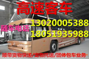 东莞汽车有多少亿