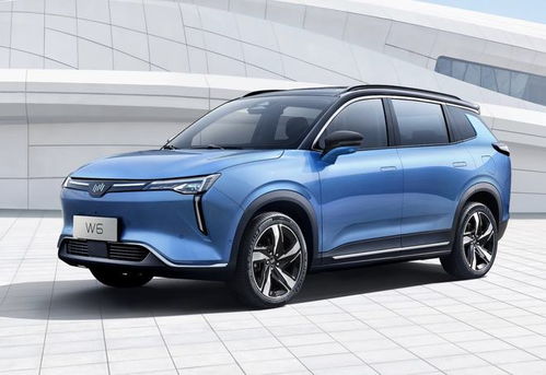 纯电汽车利润多少