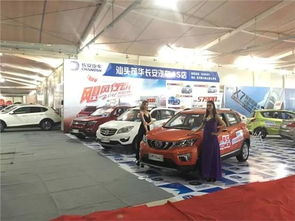 汕头多少辆汽车落户 汕头多少辆汽车落户