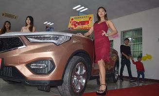 肇庆怀集有多少汽车