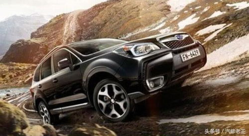 汽车过路量多少合适