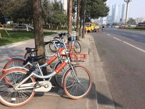 成都有多少单车汽车 成都有多少单车汽车