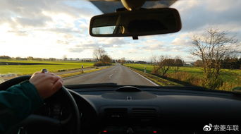 汽车阻挡有多少种