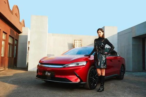 汽车泡沫加多少