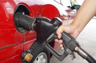 汽车油有多少型号