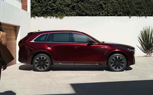 suv汽车高度多少合适