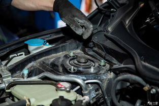 汽车避震收费多少