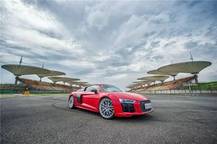 performance汽车多少钱