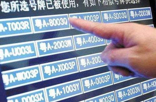 汽车摇号到多少